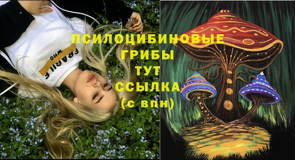 mdpv Ельня