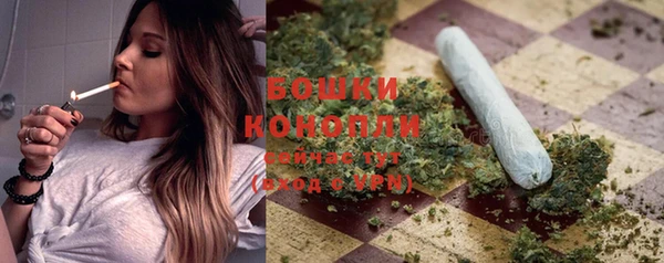 трава Елизово