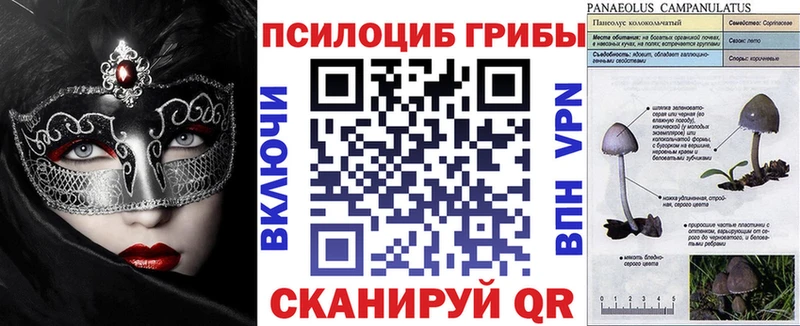 Галлюциногенные грибы мицелий  Кандалакша 